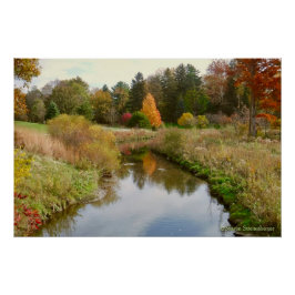 "SYLVAN SERENITY IN AUTUMN" PERFECT POSTER