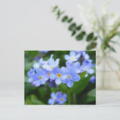 Sylvatica van Myosotis - Vergeet-mij-nietjes Briefkaart (Staand voorkant)