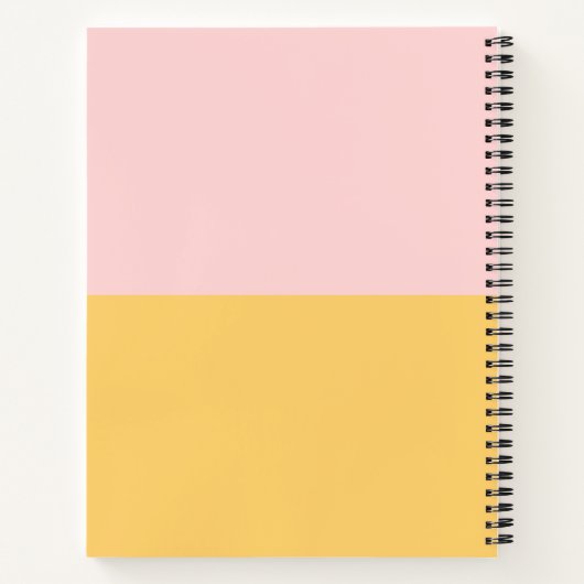 Sylveon And Jolteon Notebook ⚡︎ Notitieboek (Achterkant)