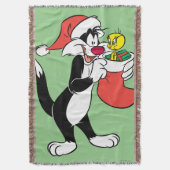 Sylvester Cat with Stocking Deken (Voorkant Verticaal)
