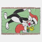Sylvester Cat with Stocking Deken (Voorkant)