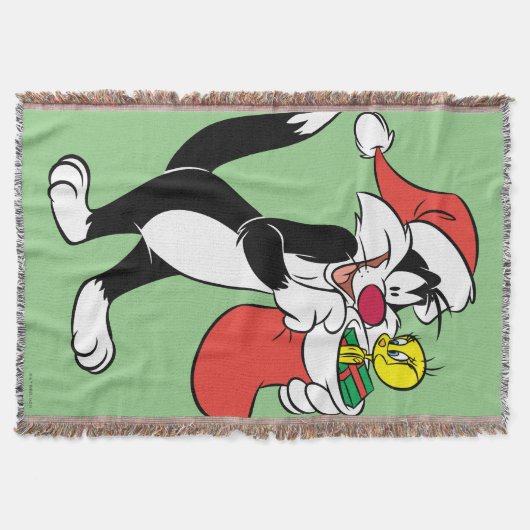 Sylvester Cat with Stocking Deken (Voorkant)