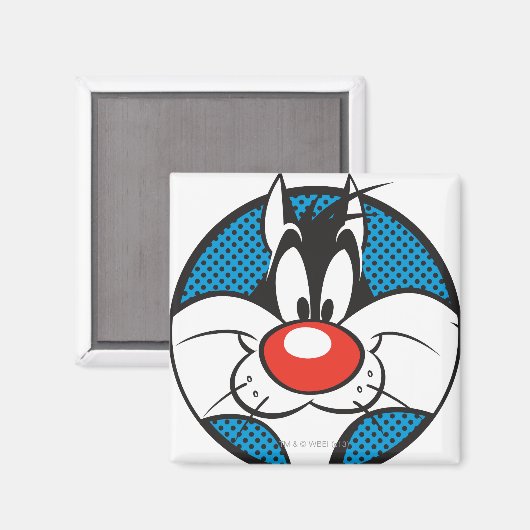 SYLVESTER™ Dotty Icon Magneet (Voorkant / Achterkant)