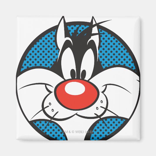 SYLVESTER™ Dotty Icon Magneet (Voorkant)