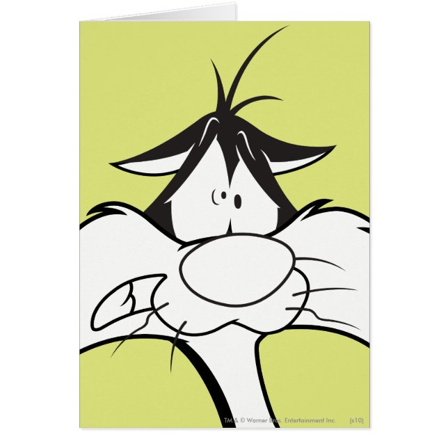 SYLVESTER™ Face (Voorkant)