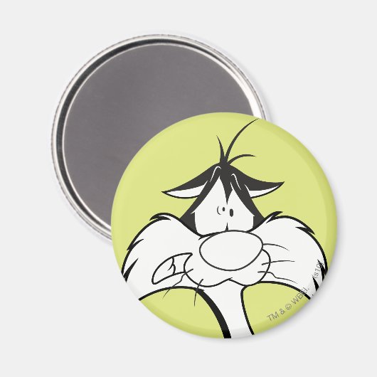 SYLVESTER™ Face Magneet (Voorkant / Achterkant)