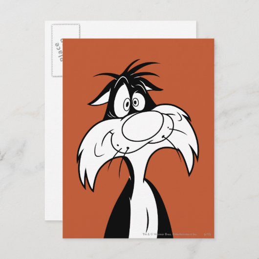 SYLVESTER™ Gekke Briefkaart (Voorkant / Achterkant)