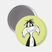 SYLVESTER™ Gekke Magneet (Voorkant / Achterkant)