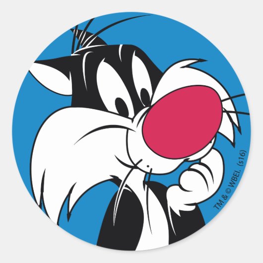 Sylvester Jr. | Klassieke Pose Ronde Sticker (Voorkant)