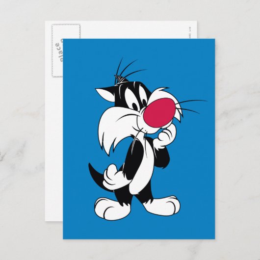 Sylvester Jr. | Klassieke post Briefkaart (Voorkant / Achterkant)