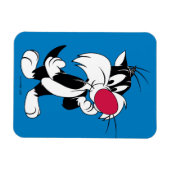 Sylvester Jr. | Klassieke post Magneet (Horizontaal)