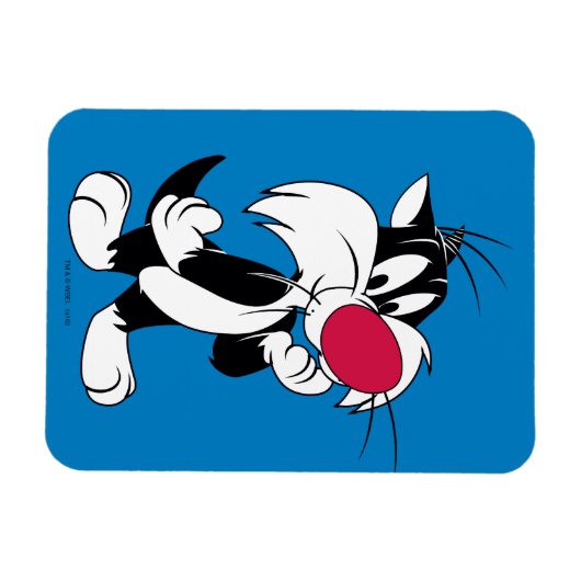 Sylvester Jr. | Klassieke post Magneet (Horizontaal)