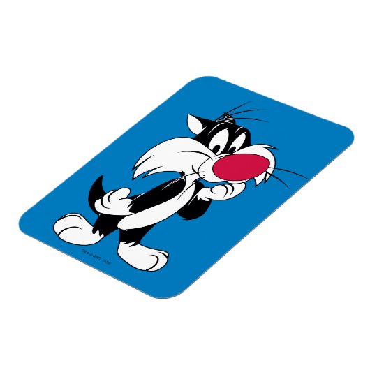 Sylvester Jr. | Klassieke post Magneet (Linkerzijde)