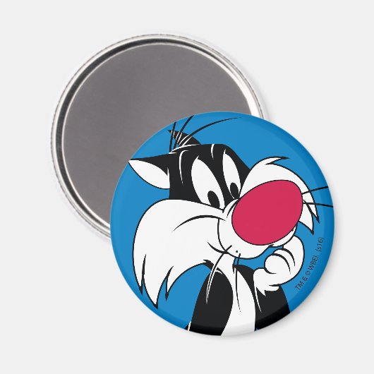 Sylvester Jr. | Klassieke post Magneet (Voorkant / Achterkant)