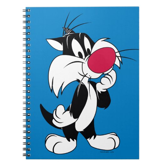 Sylvester Jr. | Klassieke post Notitieboek (Voorkant)