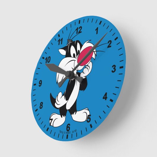 Sylvester Jr. | Klassieke post Ronde Klok (Hoek)