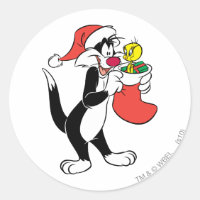 SYLVESTER™ Kat met kous