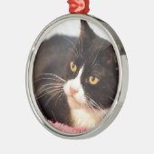 Sylvester Metalen Ornament (Links)
