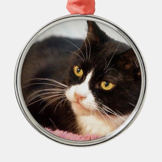 Sylvester Metalen Ornament (Voorkant)