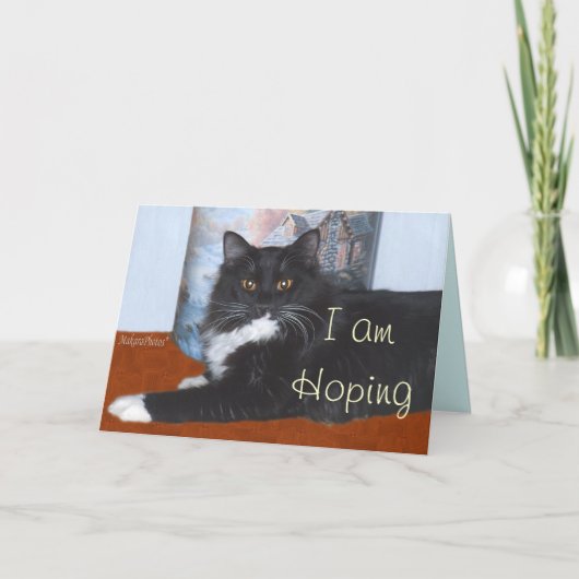 Sylvester-pas aan bedankkaart (Voorkant)