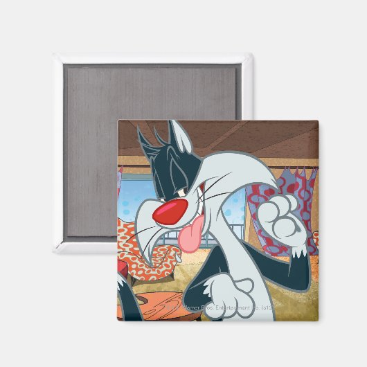 Sylvester Paw Up Magneet (Voorkant / Achterkant)