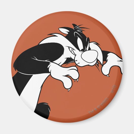 SYLVESTER™ Prowling Magneet (Voorkant)