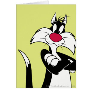 SYLVESTER™ Red Nose