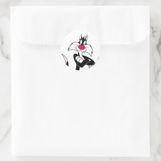 SYLVESTER™ Red Nose Ronde Sticker (Tas)