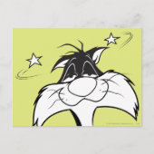 SYLVESTER™ Sore Head Briefkaart (Voorkant)