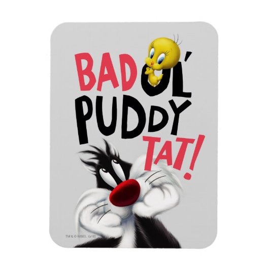 SYLVESTER™ & TWEETY™- Bad Ol' Puddy Tat Magneet (Verticaal)