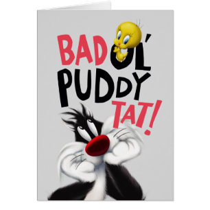 SYLVESTER™ & TWEETY™ - Gemiddelde Ol' Puddy Tat