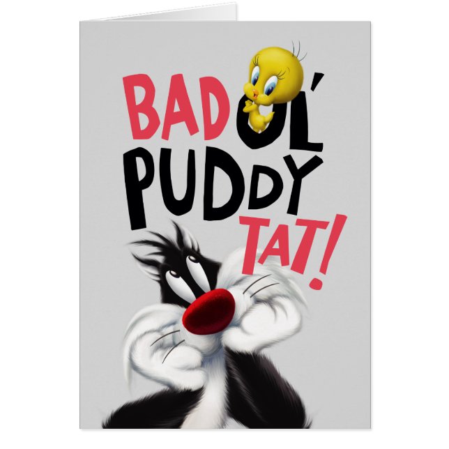 SYLVESTER™ & TWEETY™- Stoute Ol' Puddy Tat (Voorkant)