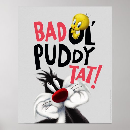 SYLVESTER™ & TWEETY™- Stoute Ouwe Kat Poster (Voorkant)