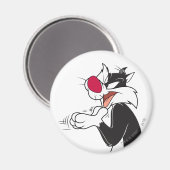SYLVESTER™ Wrijvende Pootjes Magneet (Voorkant / Achterkant)
