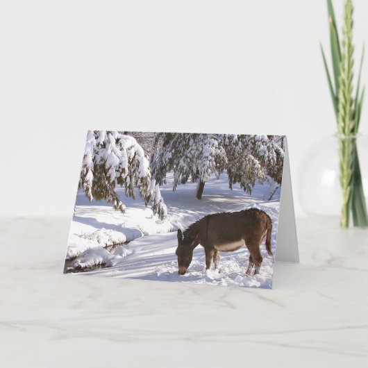 Sylvia Kaart (Voorkant)