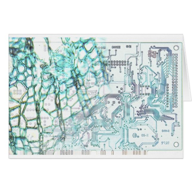 symbiose - concept (Voorkant Horizontaal)