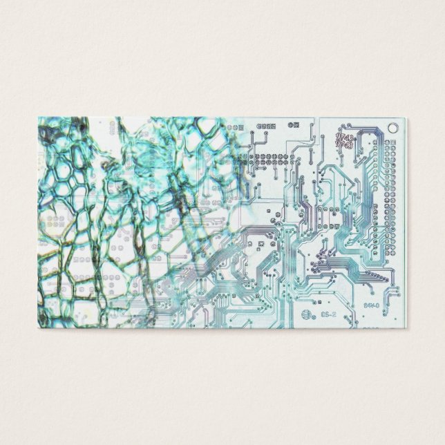 Symbiose - concept visitekaartjes (Voorkant)