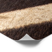 Symbiose: Oxpecker & Zebra Poster (Hoek)