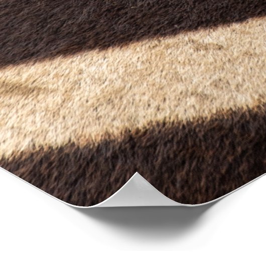 Symbiose: Oxpecker & Zebra Poster (Hoek)