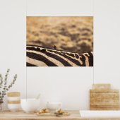 Symbiose: Oxpecker & Zebra Poster (Keuken)