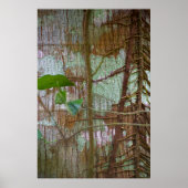 Symbiose Poster (Voorkant)