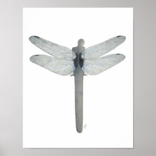 Symbiosis Dragonfly Poster