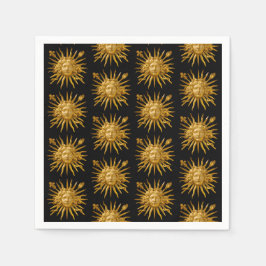 Symbol of Louis XIV the Sun King Servet