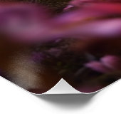 Symboliek Dachshund het verkennen van een weide Perfect Poster (Hoek)