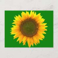 Symbolisme van de Light Post Card