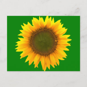 Symbolisme van de Light Post Card Briefkaart