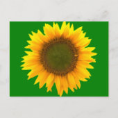 Symbolisme van de Light Post Card Briefkaart (Voorkant)