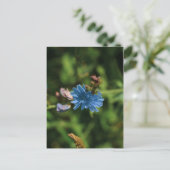 Symbool natuur Blue Corn Flower Belarus Briefkaart (Staand voorkant)