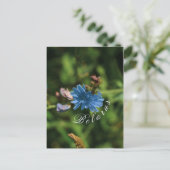 Symbool natuur Blue Corn Flower Belarus Briefkaart (Staand voorkant)