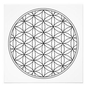 symbool van de bloem van het leven heilige geometr foto afdruk